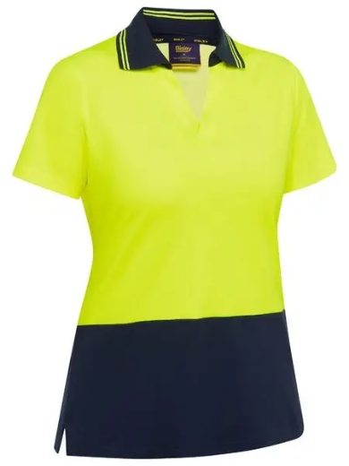 Picture of Bisley, Womens V-Neck Polo